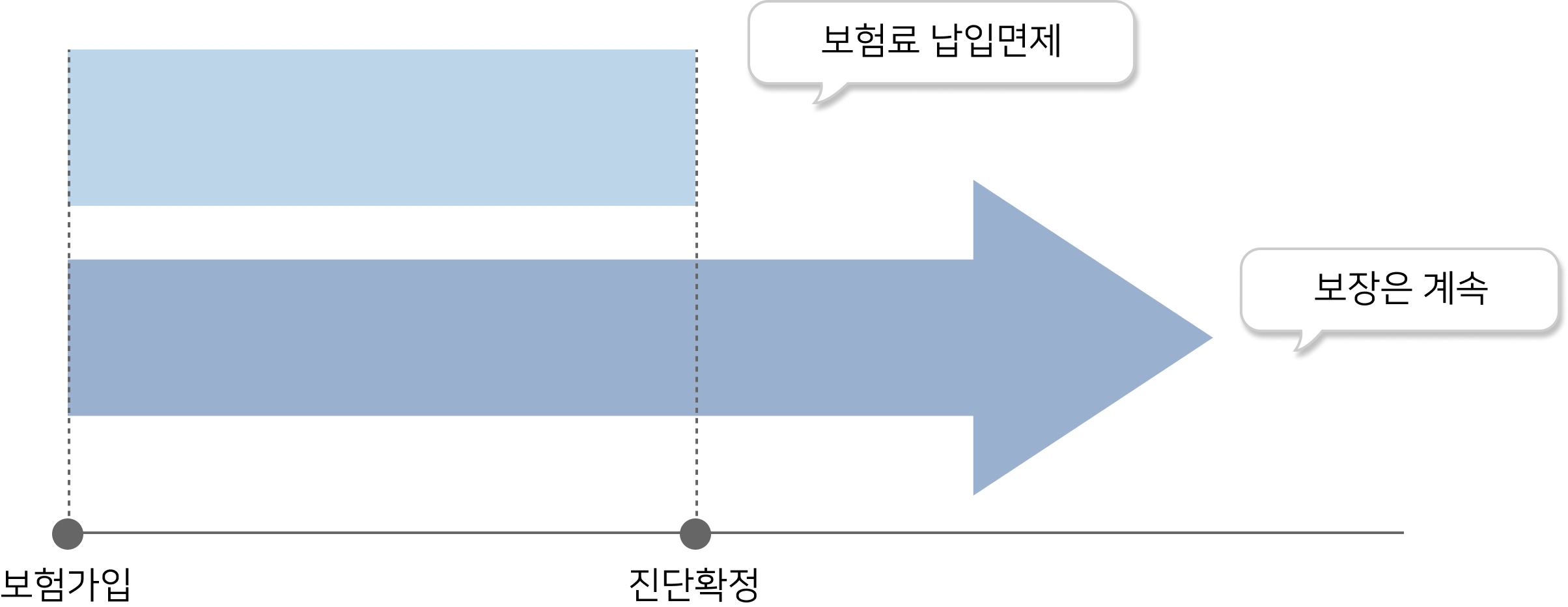 동부화재 청년보험